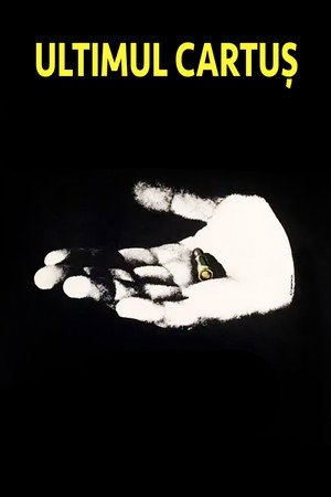 Poster for The Last Bullet