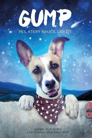 Poster for Невероятные приключения Гампи