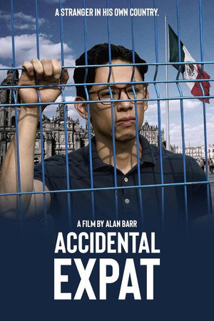 Poster for Случайный эмигрант