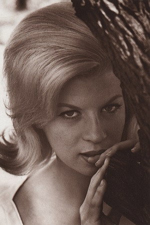 Cover image for Lorna Maitland