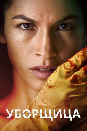 Poster for The Cleaning Lady