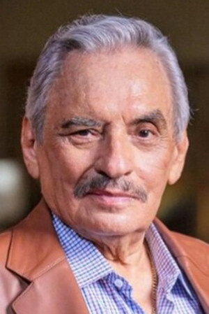 Cover image for Manuel Ojeda