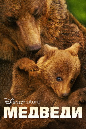 Poster for Медведи