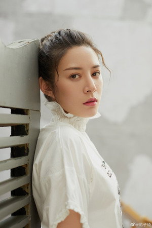 Cover image for Fan Ziqi