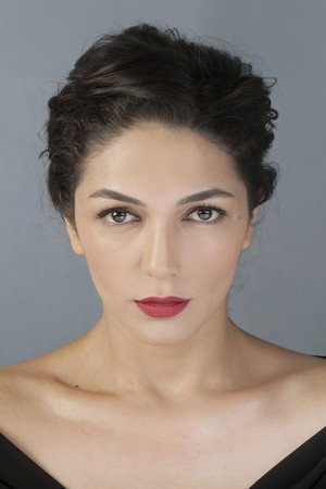 Cover image for Şebnem Hassanisoughi