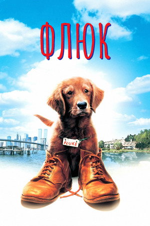 Poster for Fluke