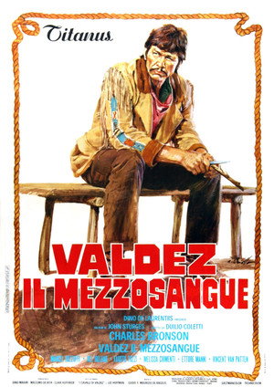 Poster for The Valdez Horses