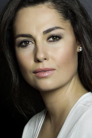 Cover image for Toprak Sağlam