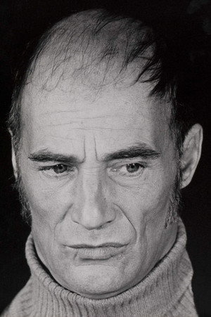Cover image for Bernard Haller