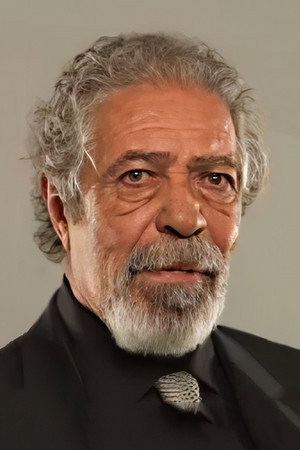 Cover image for Erol Demiröz