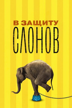 Poster for An Apology to Elephants
