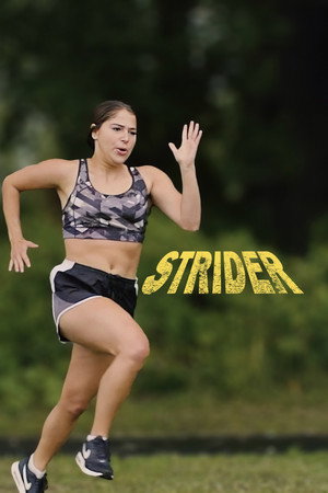 Poster for Strider