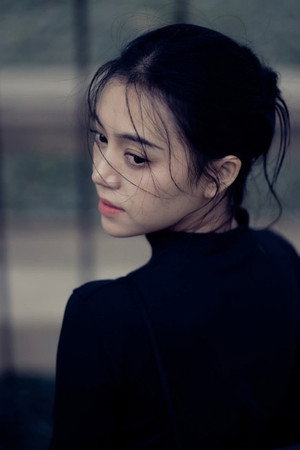 Cover image for Hoàng Linh Chi