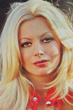 Cover image for Shirley Corrigan