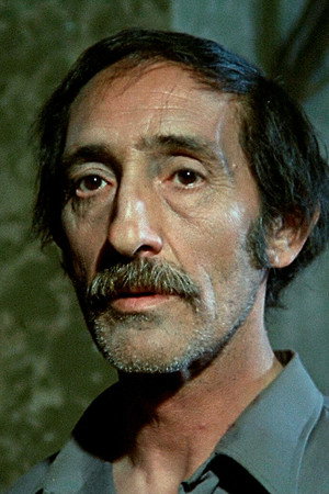 Cover image for Luis Ciges