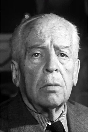 Cover image for Mario Mattoli