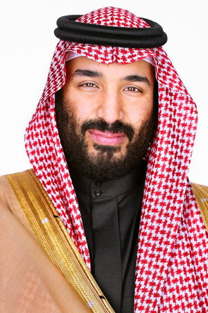 Cover image for Prince Mohammed bin Salman al Saud