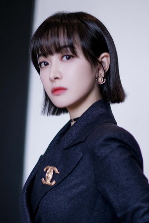 Cover image for 宋茜
