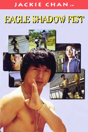 Poster for Eagle Shadow Fist