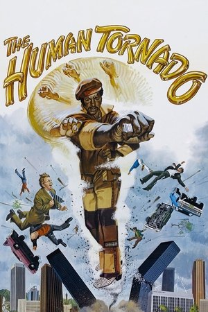 Poster for Человеческий Торнадо