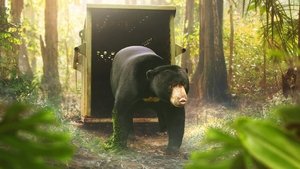 Poster for Эпизод 7