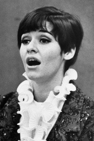 Cover image for Marcia Rodd