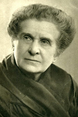 Cover image for Мария Блюменталь-Тамарина
