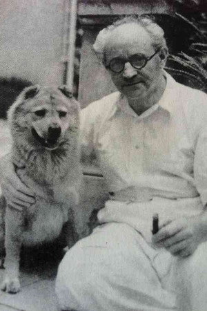 Cover image for Franz Osten