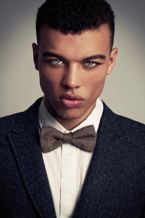 Cover image for Dudley O'Shaughnessy
