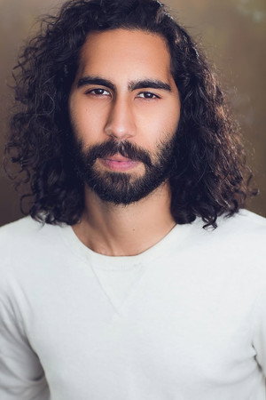 Cover image for Anwar Wolf
