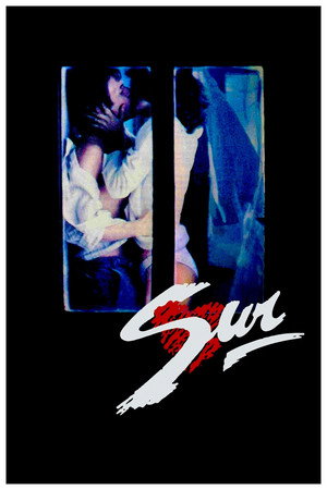 Poster for The South