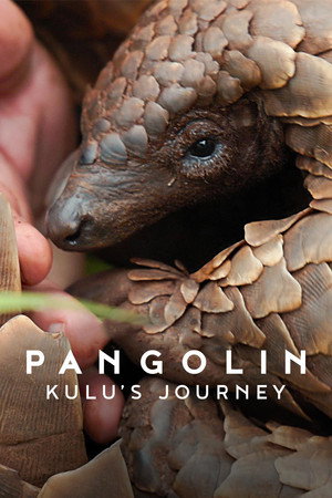 Poster for Pangolin: Kulu's Journey