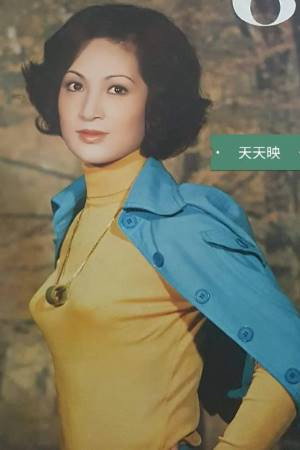 Cover image for Meng Chin