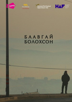 Poster for If Only I Could Hibernate