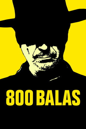 Poster for 800 пуль