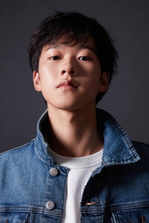 Cover image for Taiwen Zhang