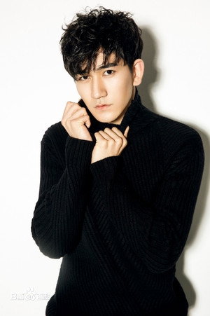 Cover image for Gao Ming