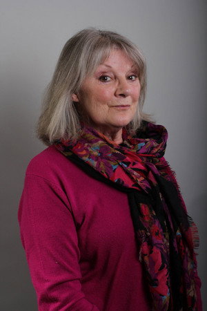 Cover image for Anneke Wills