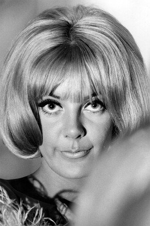 Cover image for Aimi MacDonald
