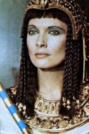 Cover image for Hildegard Neil