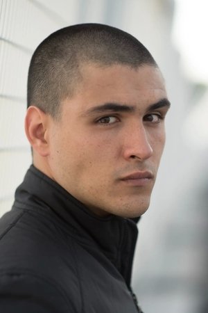 Cover image for Andrea Dodero