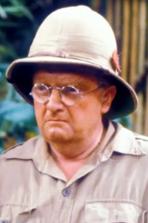 Cover image for Don Estelle