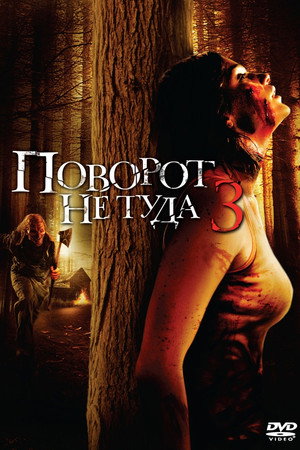 Poster for Поворот не туда 3