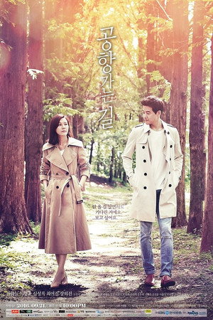 Poster for On the Way to the Airport