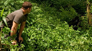 Poster for Эпизод 12