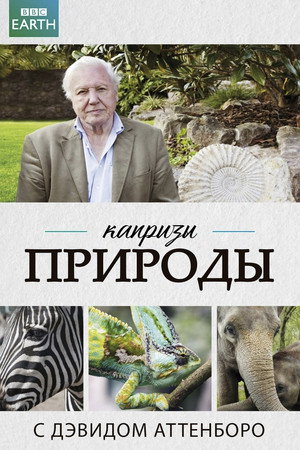 Poster for Капризы природы с Дэвидом Аттенборо