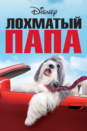 Poster for Лохматый папа