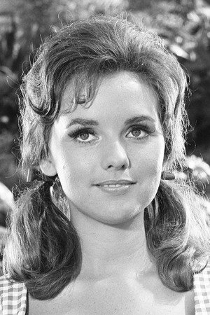 Cover image for Dawn Wells