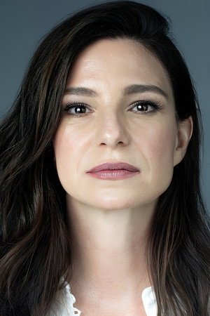 Cover image for Krista Bridges