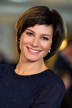 Cover image for Birgit Van Mol